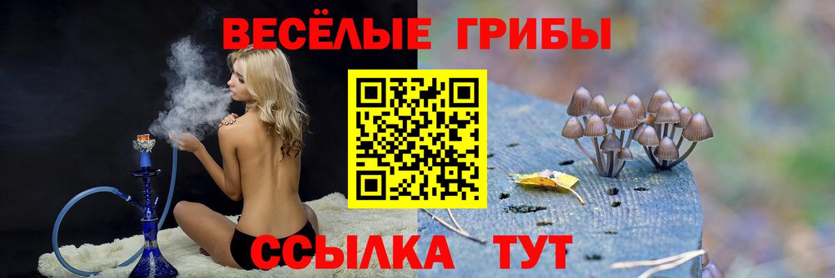 Светлоград  Галлюциногенные грибы Psilocybe  Галлюциногенные грибы прущие грибы  Вход с VPN 